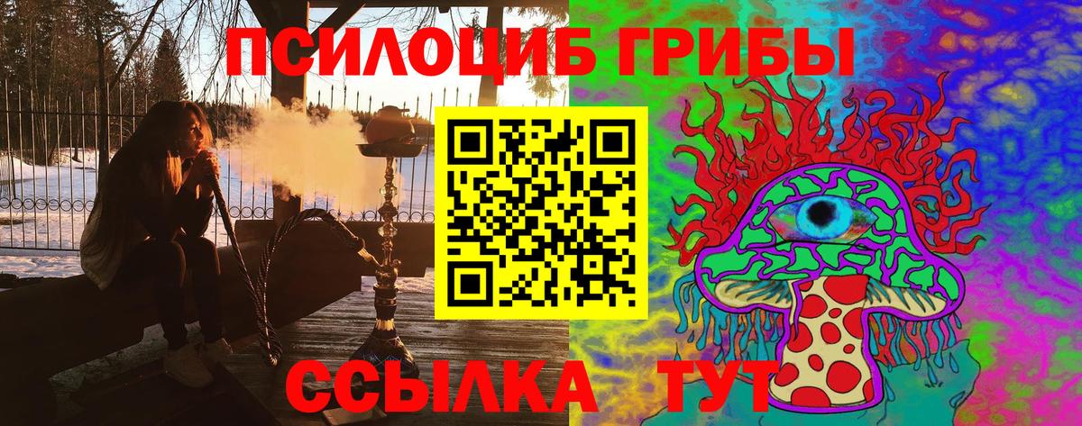 Галлюциногенные грибы Psilocybe Кстово