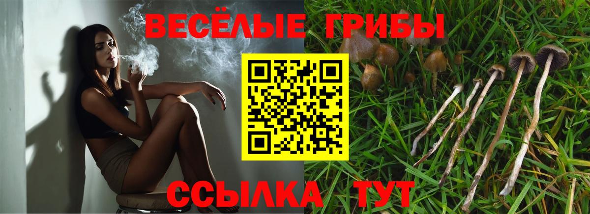 Псилоцибиновые грибы GOLDEN TEACHER  Вход с VPN  Псилоцибиновые грибы Psilocybine cubensis  Кстово 